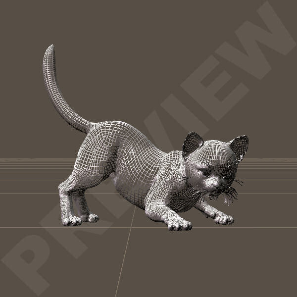 KittenPlay01.jpg
