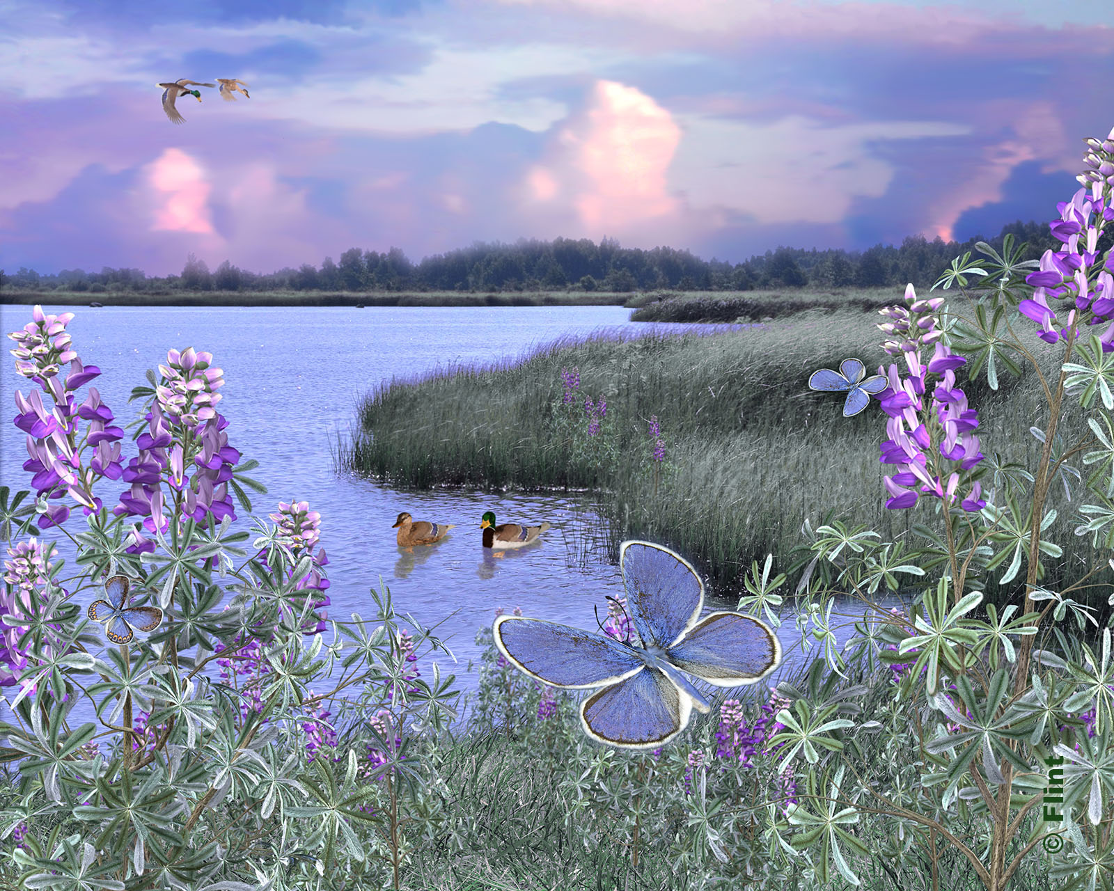 Lakeside.jpg