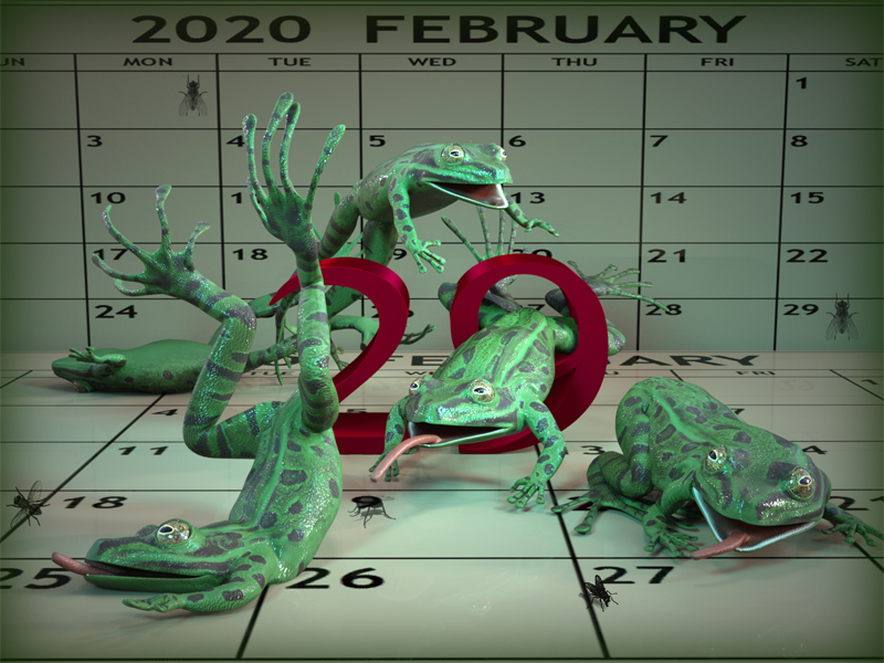 Leap Frog Year 100z.jpg