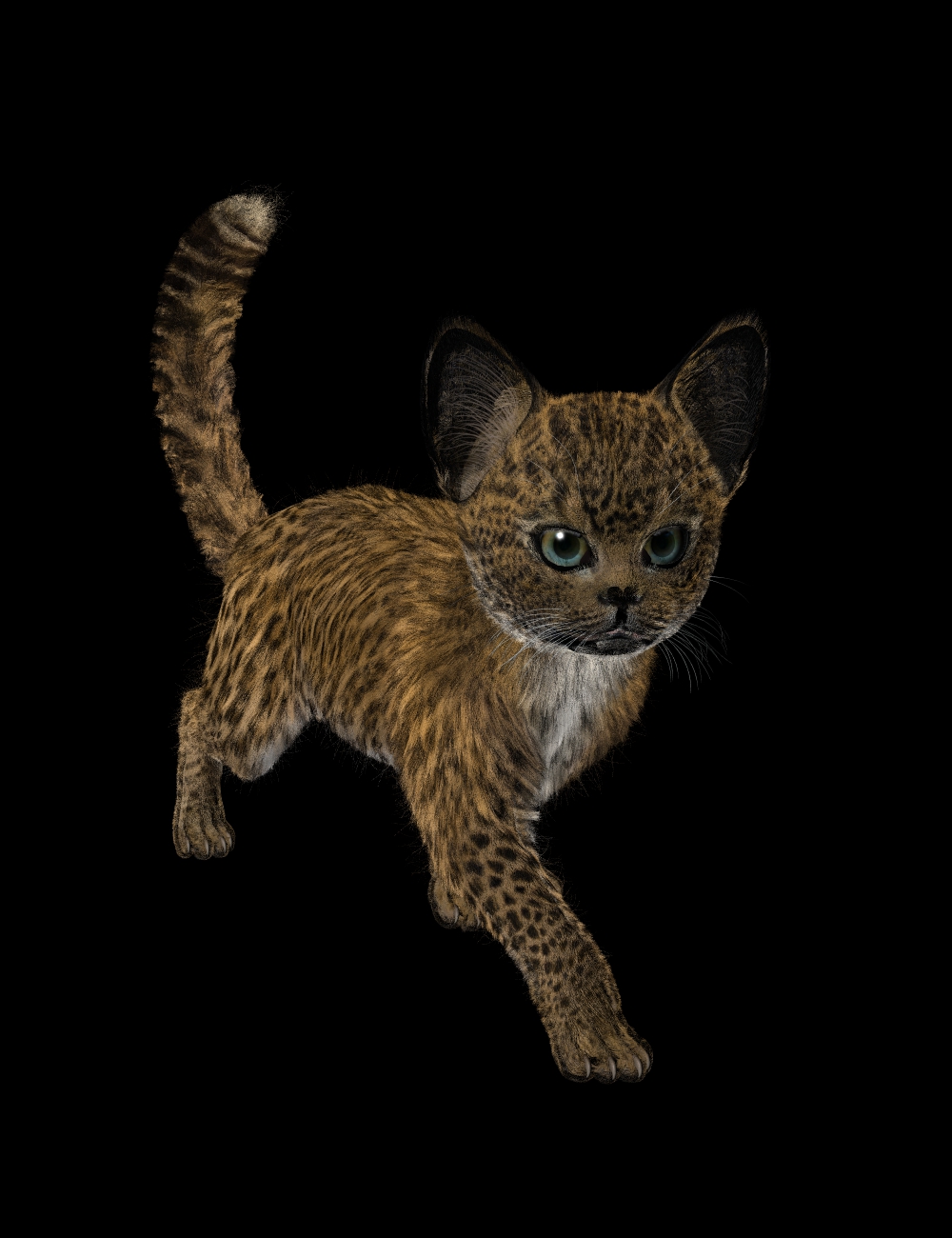 Leopard Kitty with Big ears.jpg