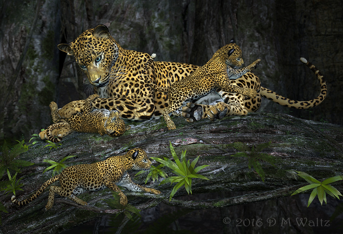 leopardessandcubs.jpg