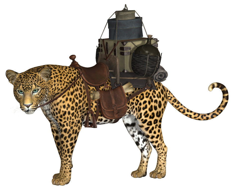 LeopardTackedUpTest.jpg