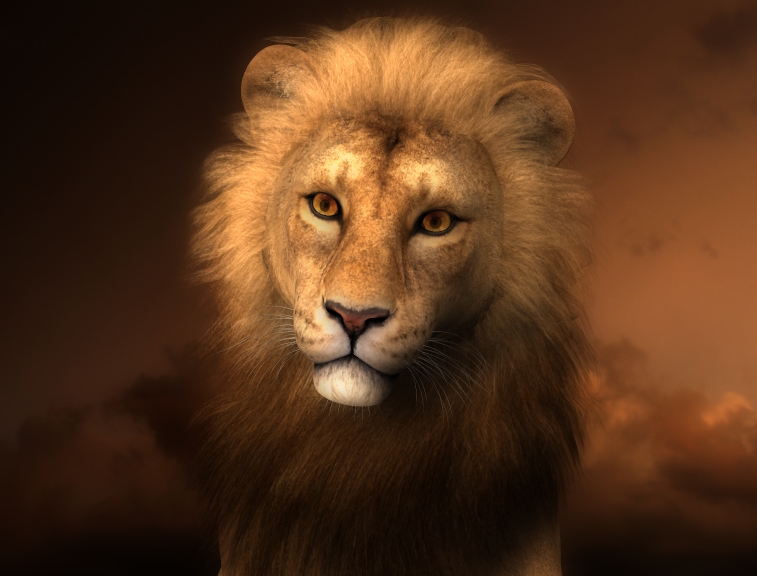 Lion-dark-sky-enhanced.jpg