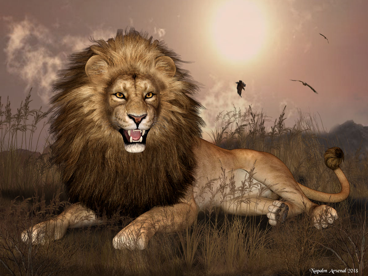 Lion Only.jpg