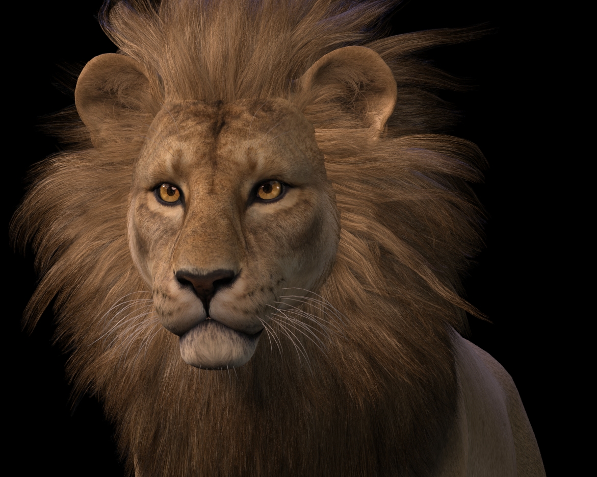 LionManeFlare2.jpg