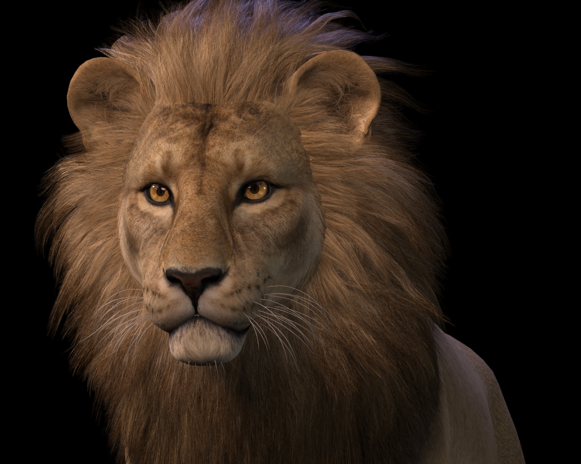 LionManeFlare50b.jpg