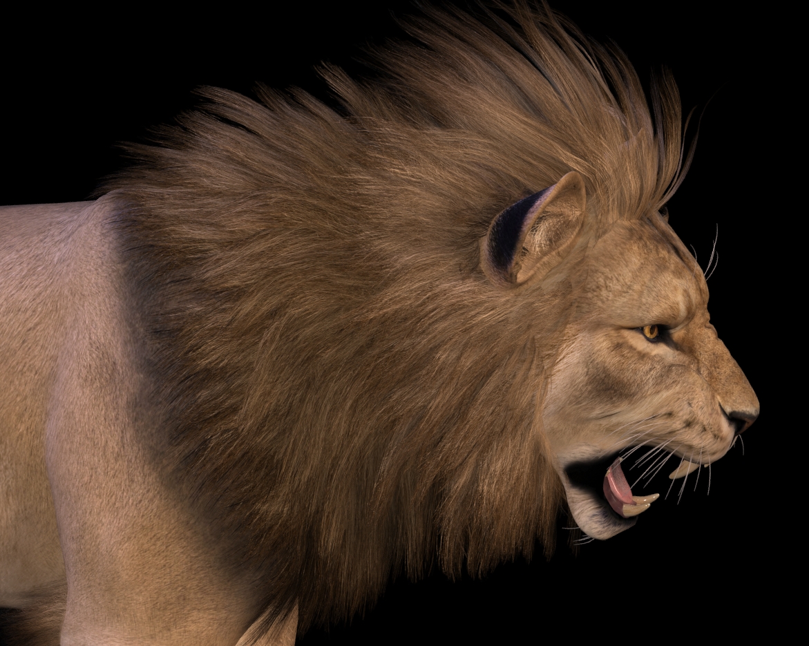 LionManeFlareRoar3.jpg