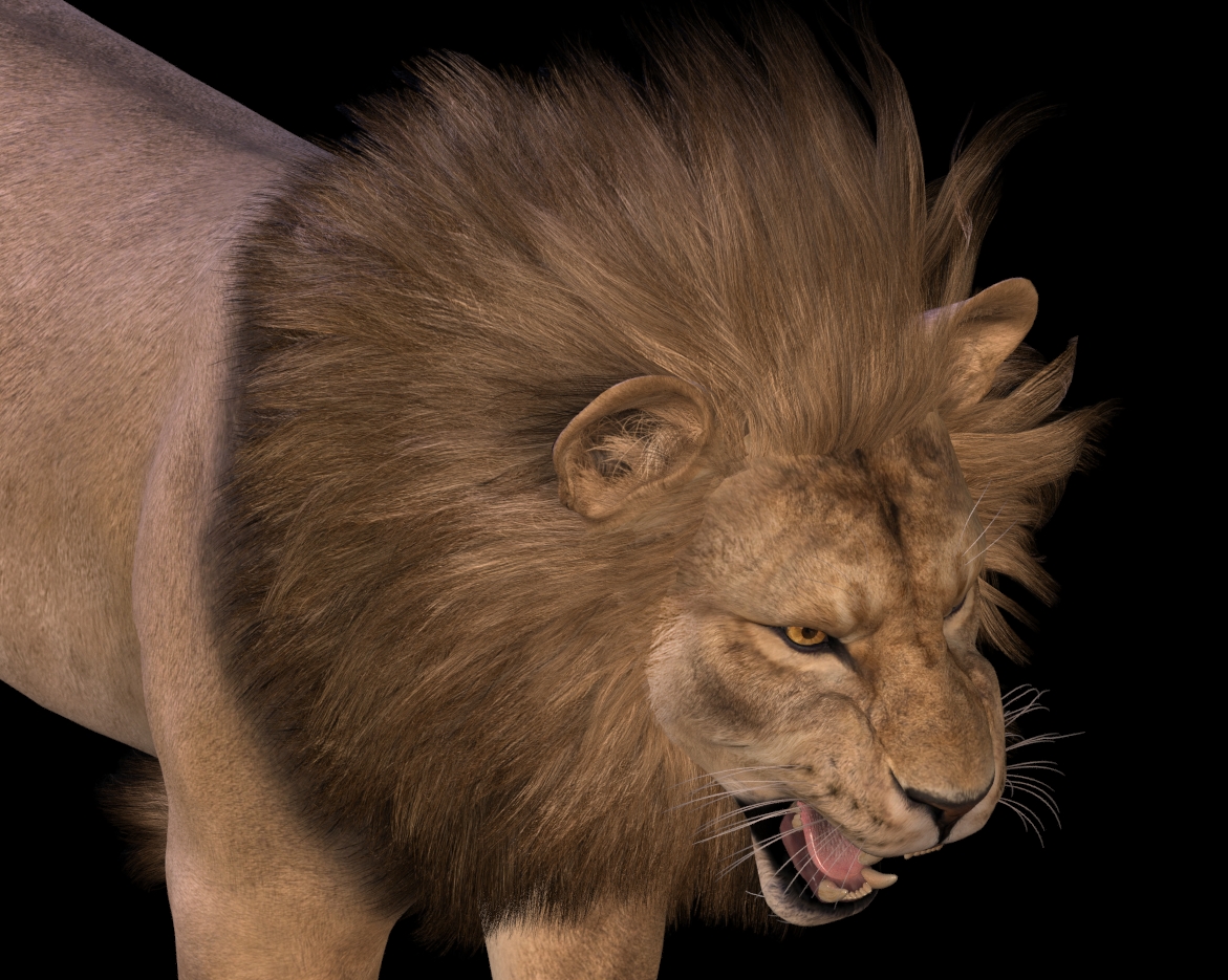 LionManeFlareRoar5.jpg