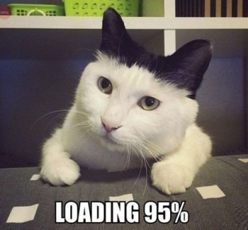 loading-95-percent.jpg