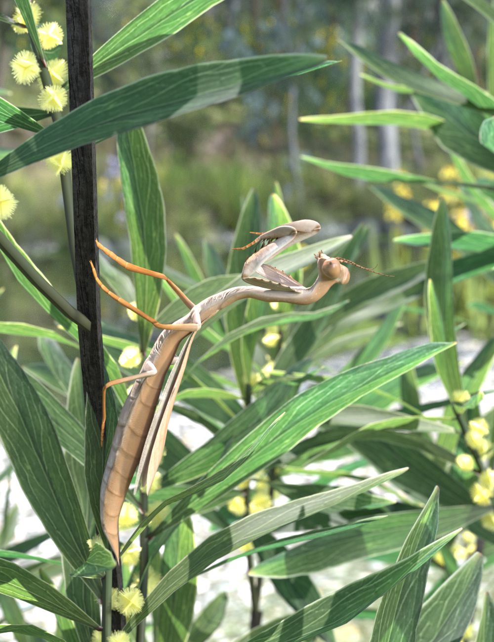 Long Brown Mantis image.jpg