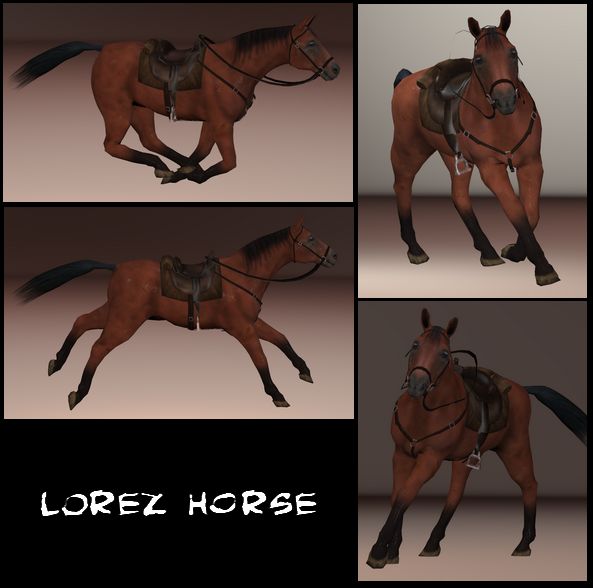 LOREZ HORSE POSES.jpg