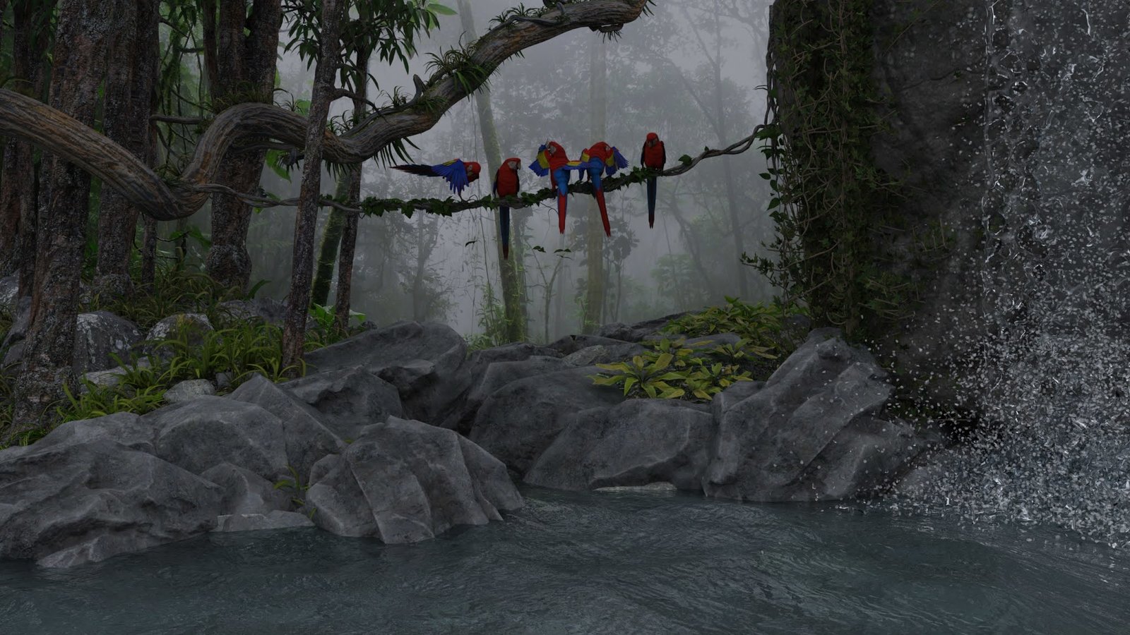 Macaws in the Mist.jpg
