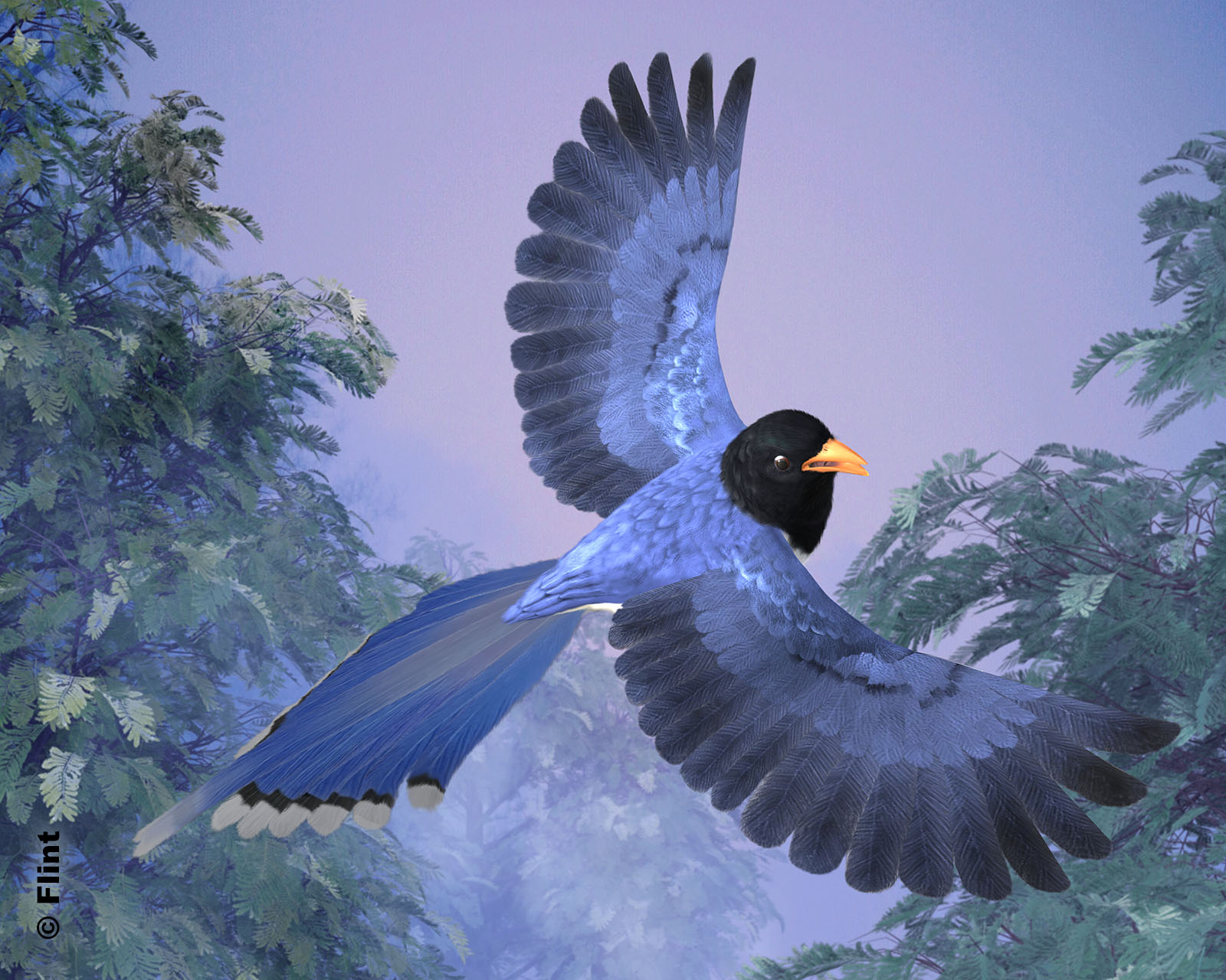 Magnificence of Flight.jpg