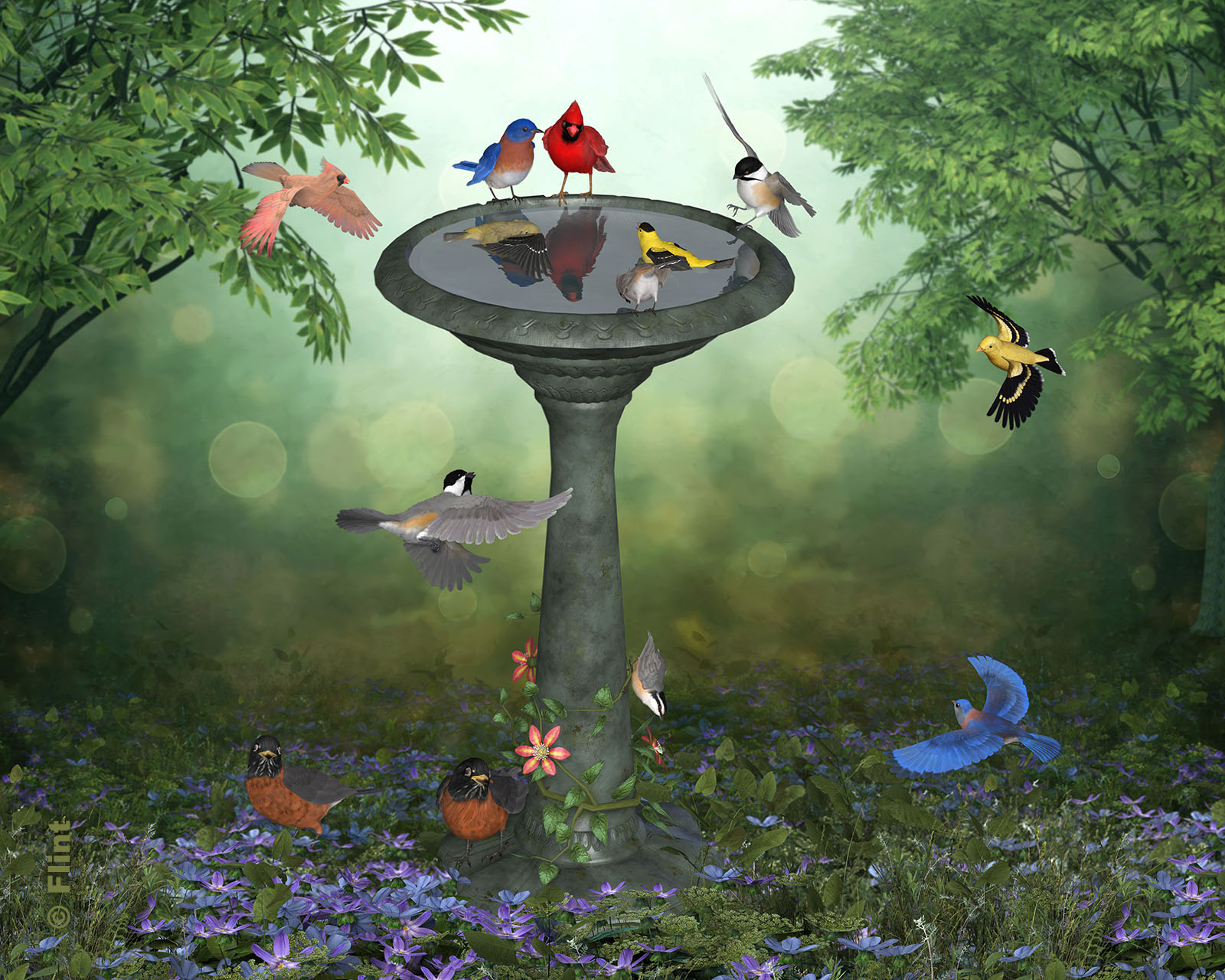 Meet Me At the Birdbath.jpg