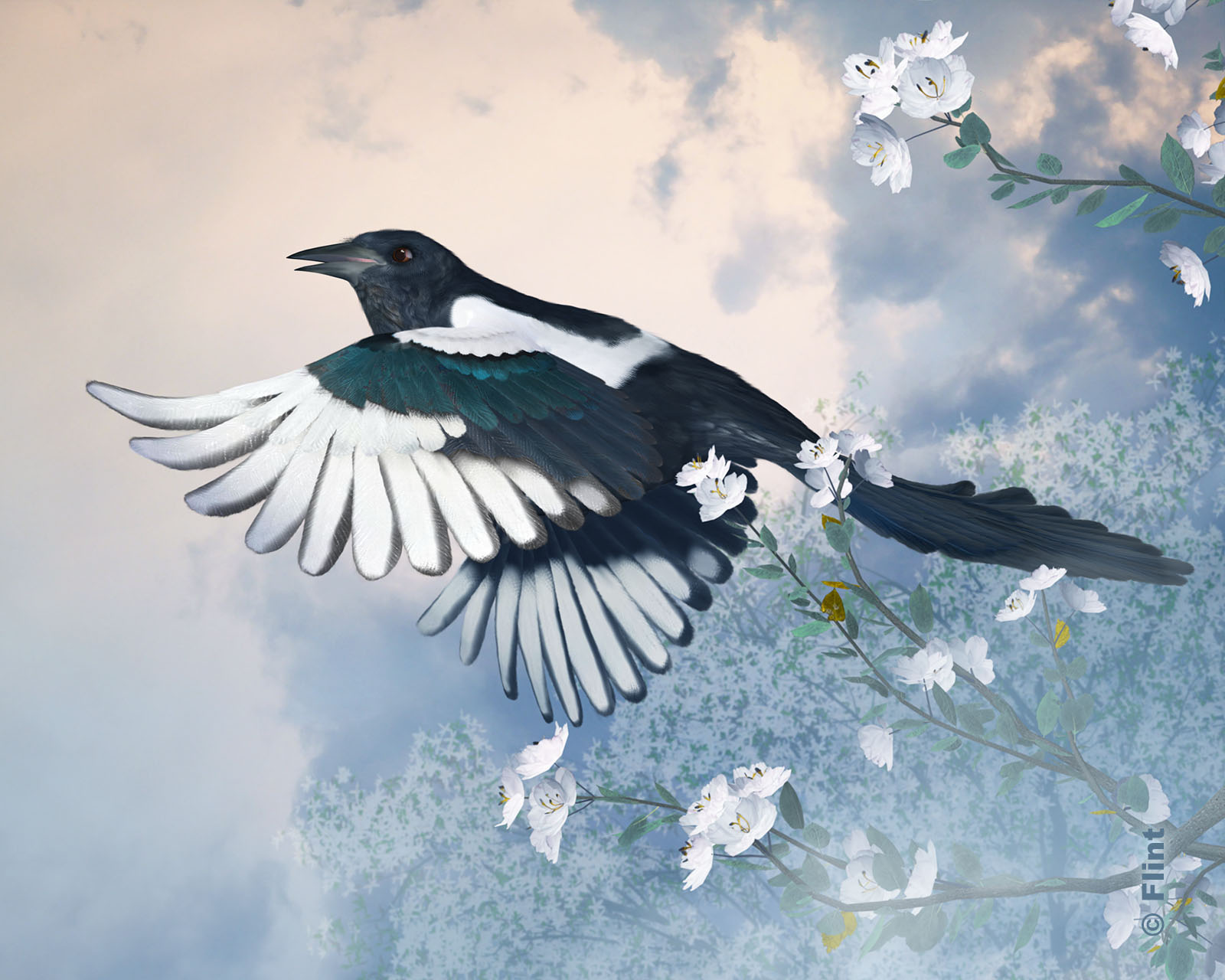 Mist In the Blossoms.jpg