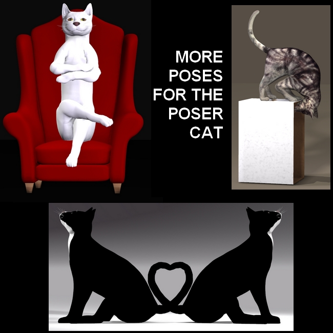 MORE-POSES-FOR-POSER-CAT.jpg