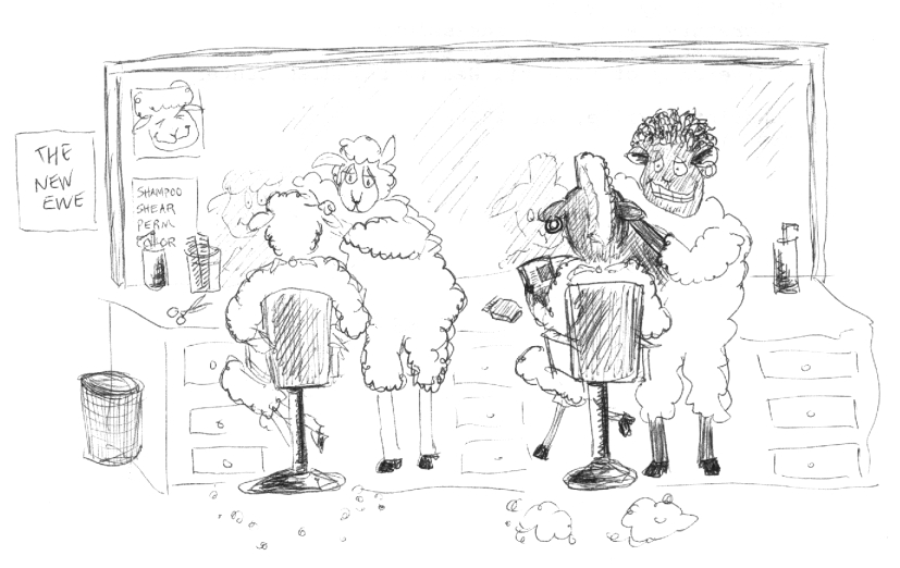 new-ewe-hair-shop.jpg