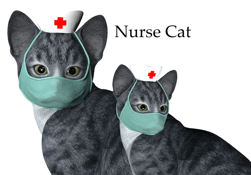 nurse-cat.jpg