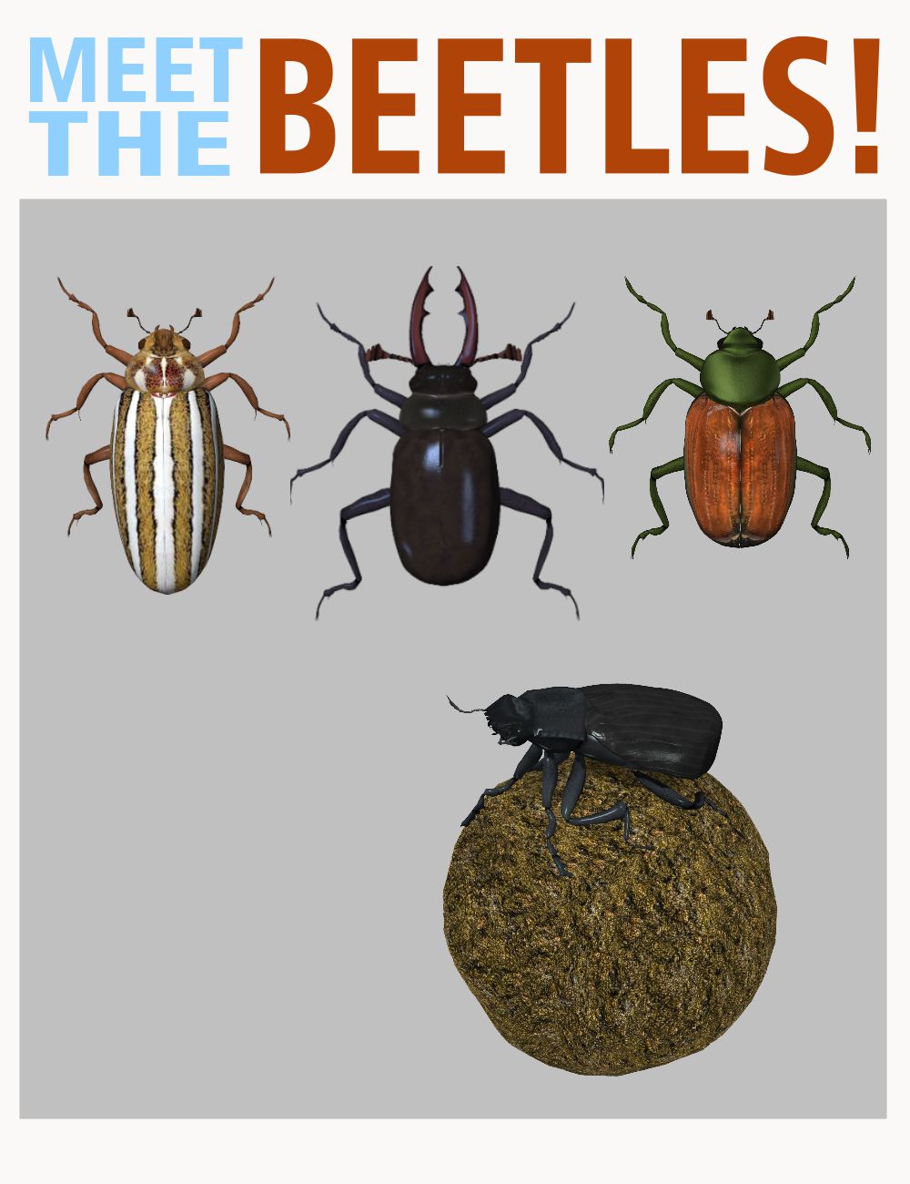 NW_Beetles_Promo4.jpg