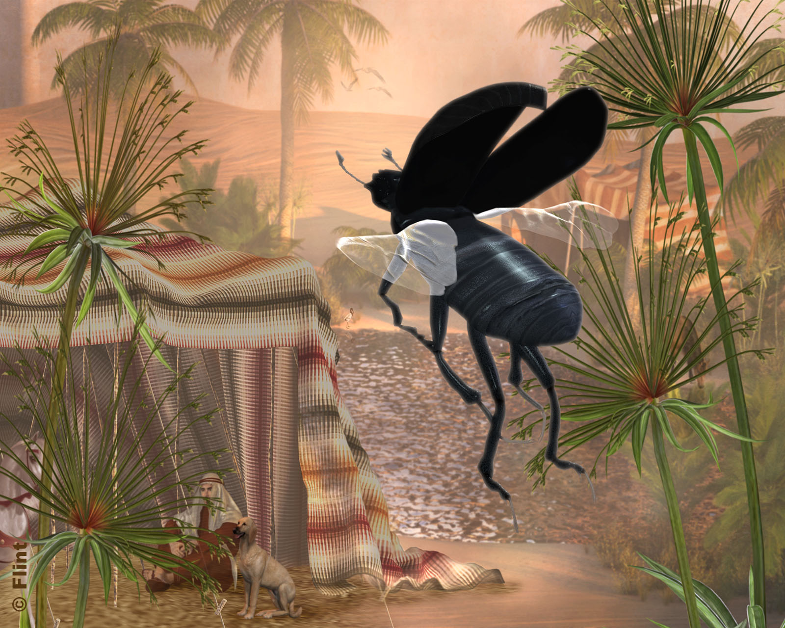 Oasis of the Sacred Beetle.jpg