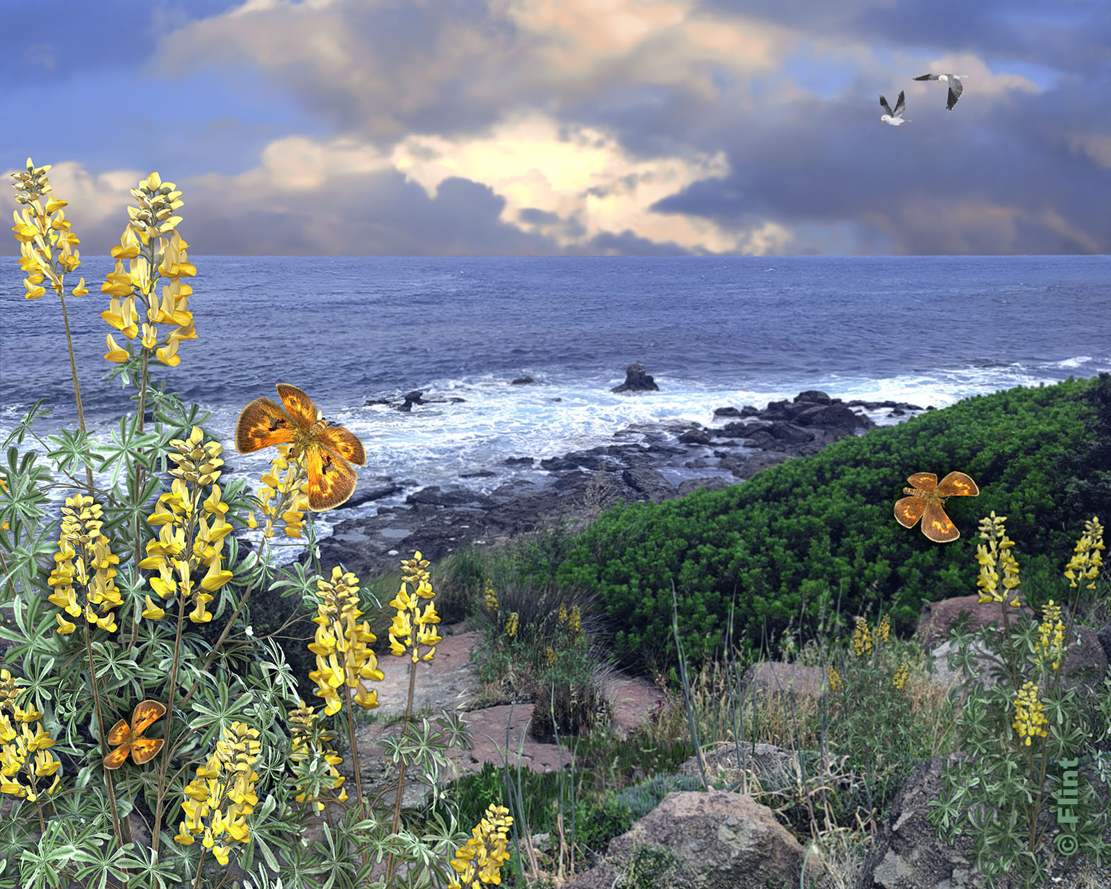 Ocean View.jpg