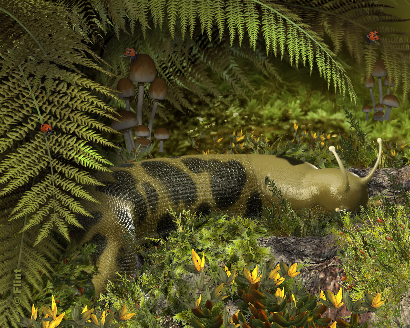 On the Forest Floor.jpg