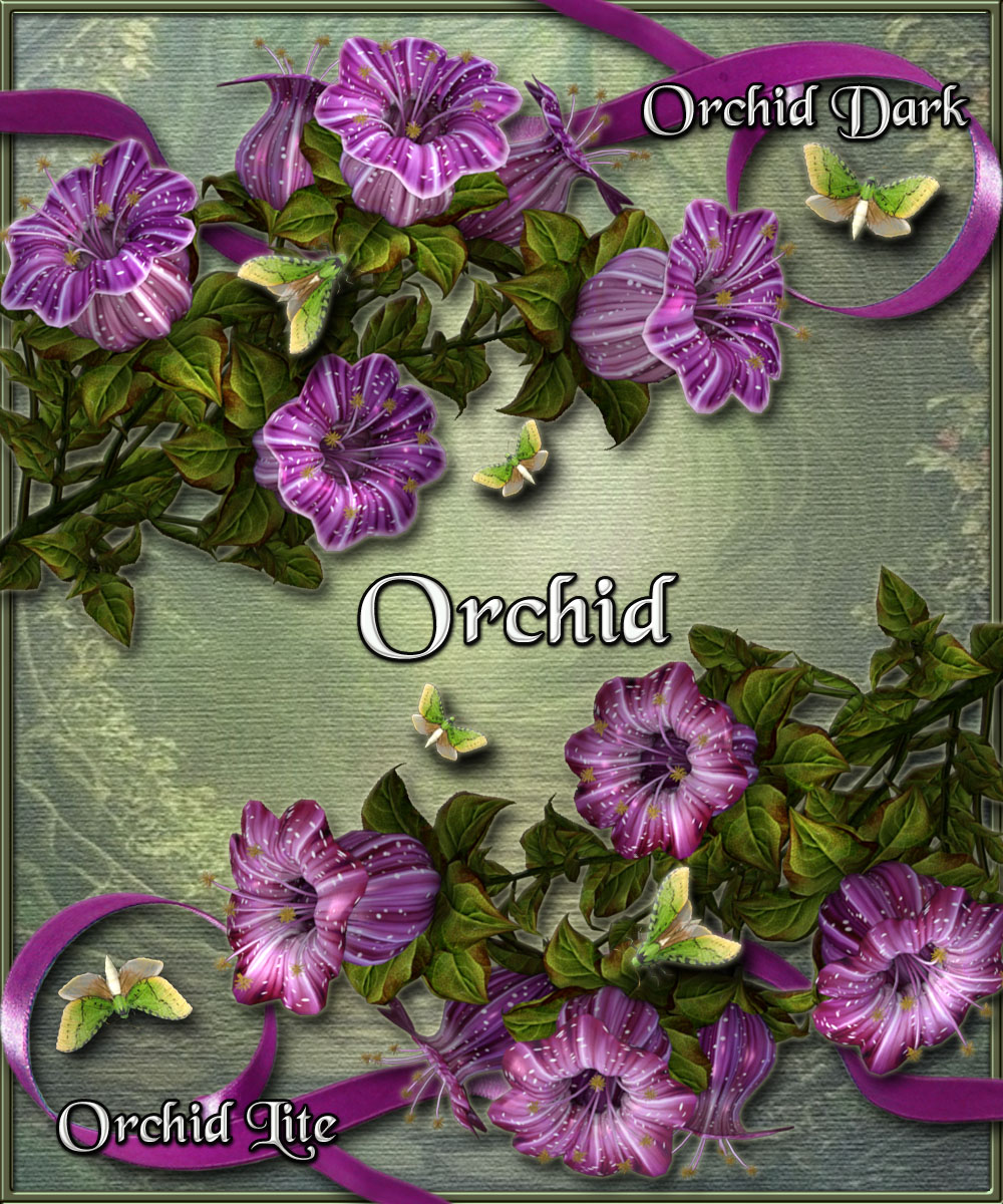 Orchid 9.jpg