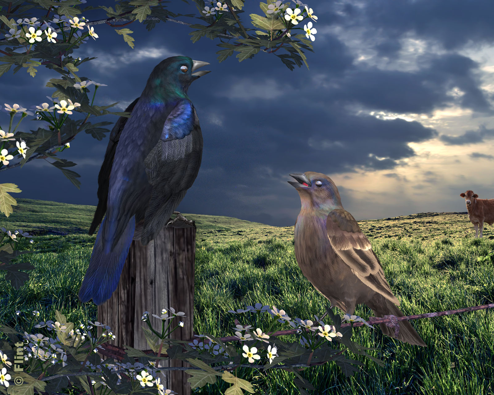 Out On the Range.jpg