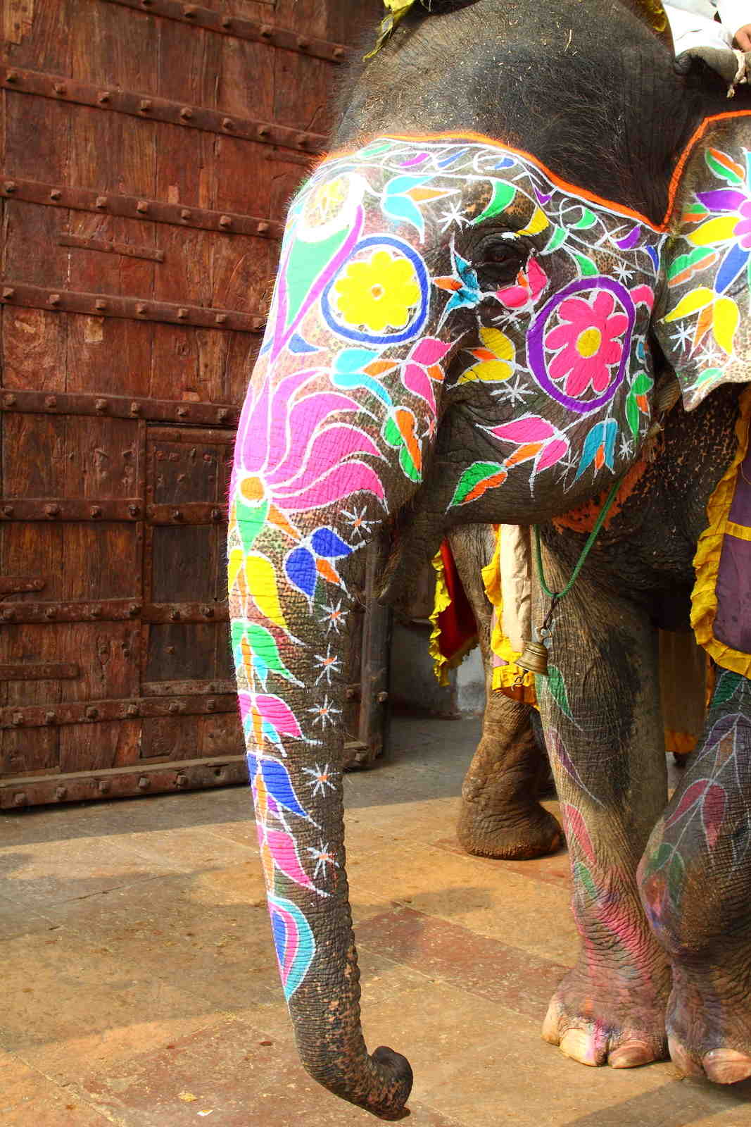 Painted-Elephant-Jaipur_rbdwq9.jpg