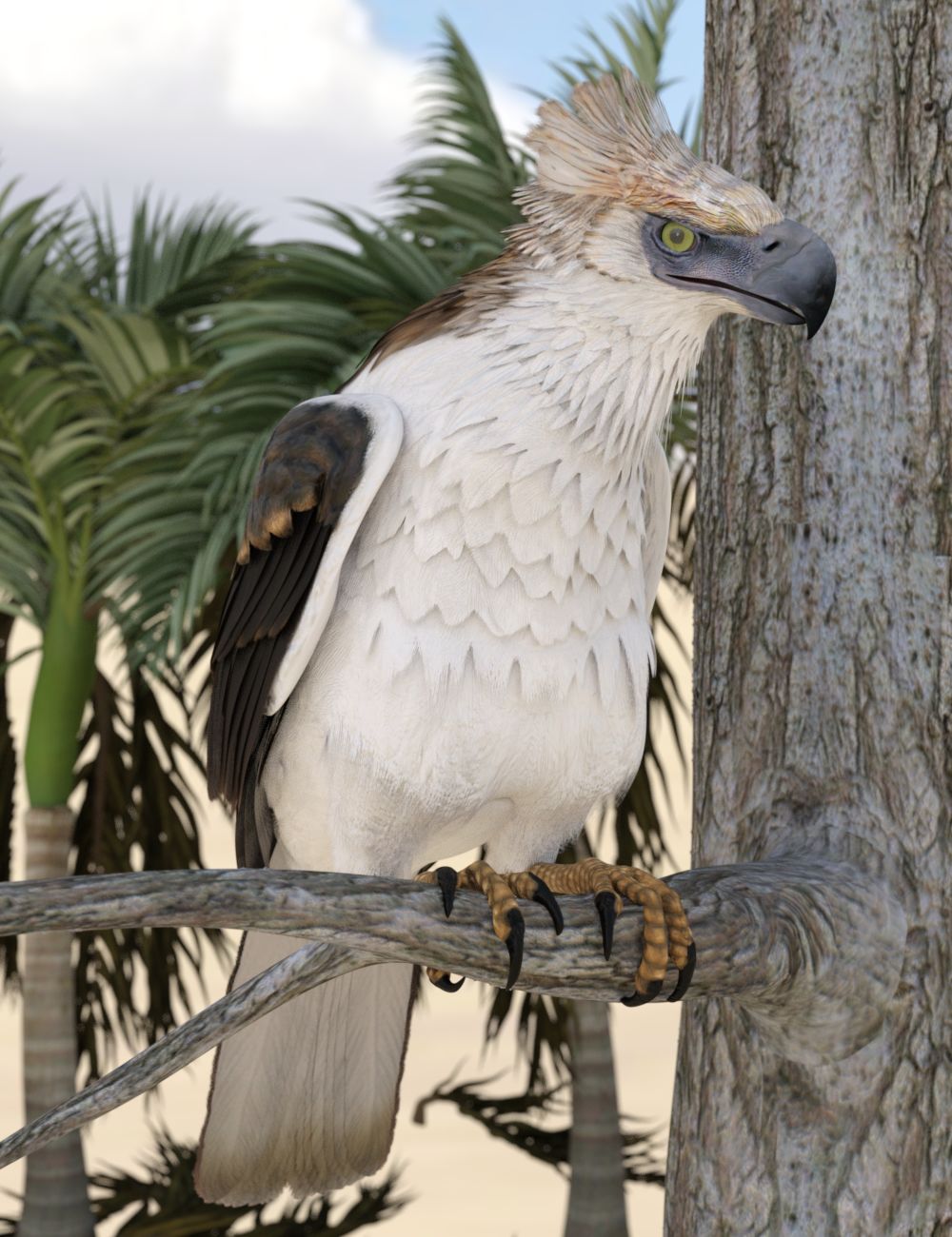 Phillipine Eagle.jpg