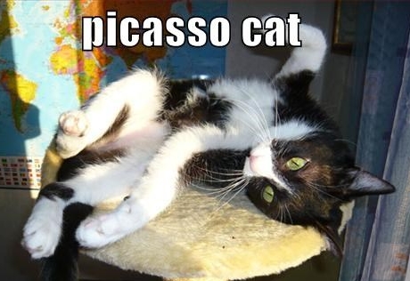 PICASSO--CAT.jpg