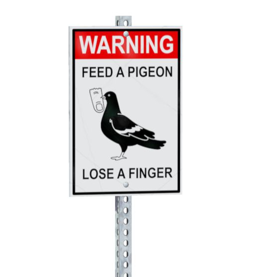 Pigeon Sign.jpg