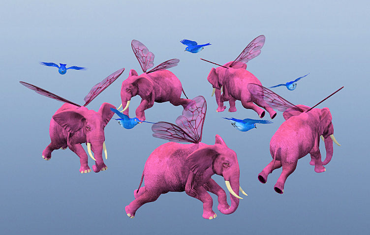 Pink Elephants.jpg
