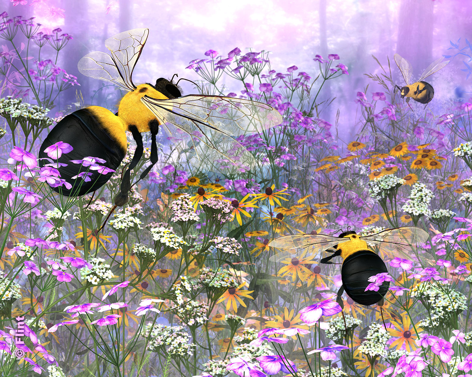 Pollinator Paradise.jpg