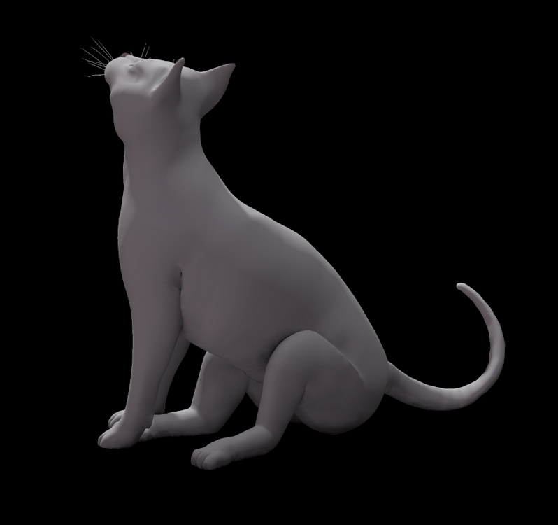 POSER CAT WHITE MAP for Gray Tabby.jpg