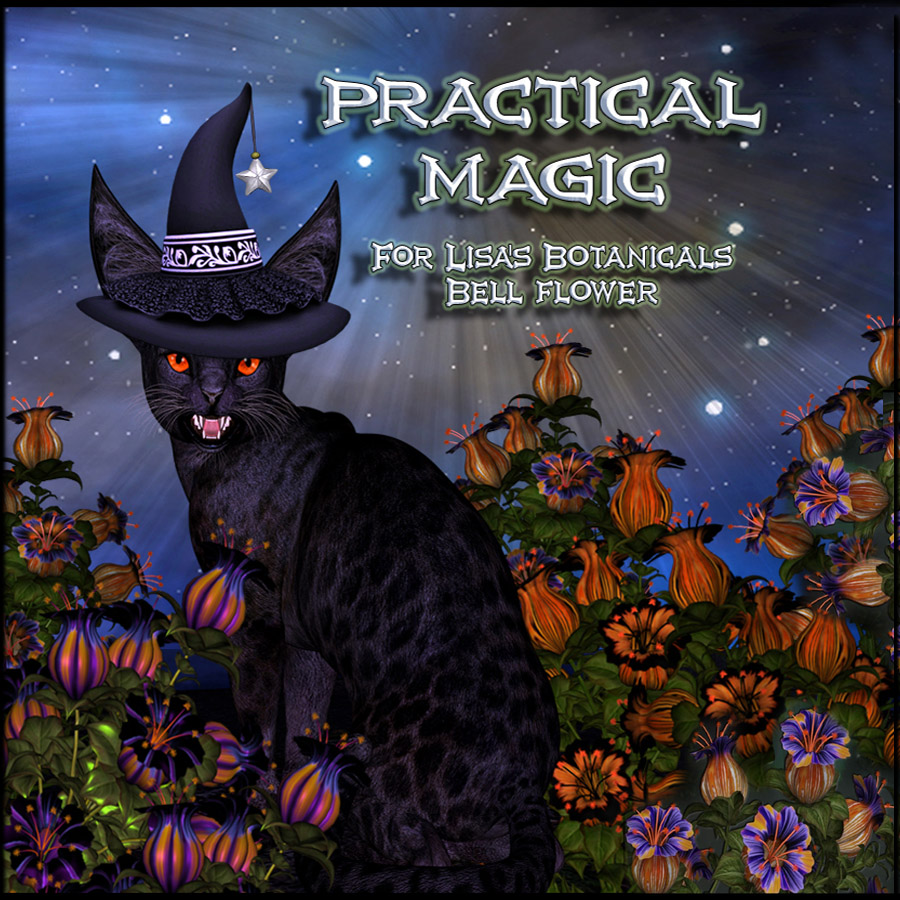 Practical Magic 900x900 prm.jpg