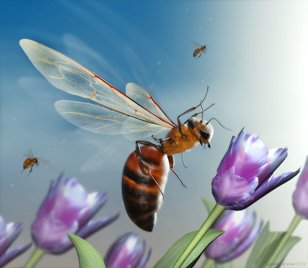 Queen Bee.jpg