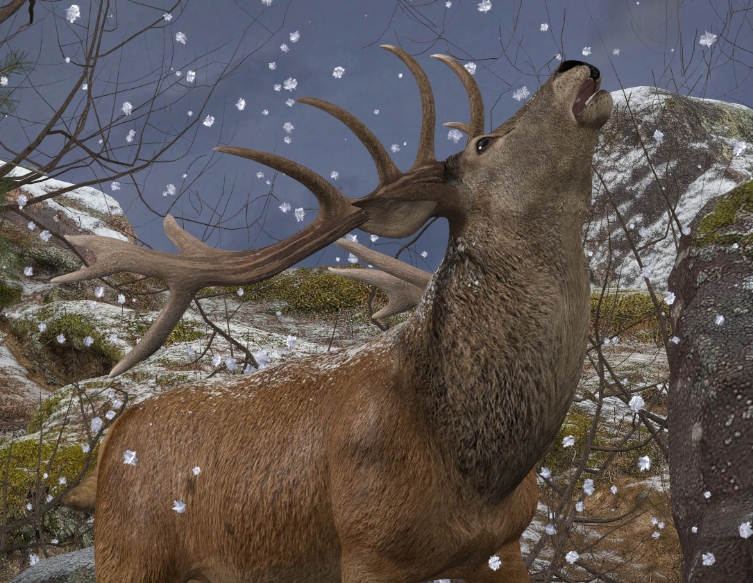 Red Deer Winter - Copy.jpg