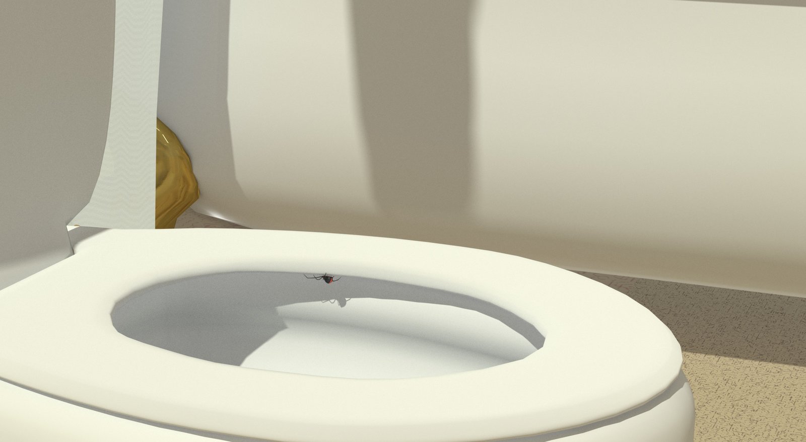 Redback on the toilet seat.jpg