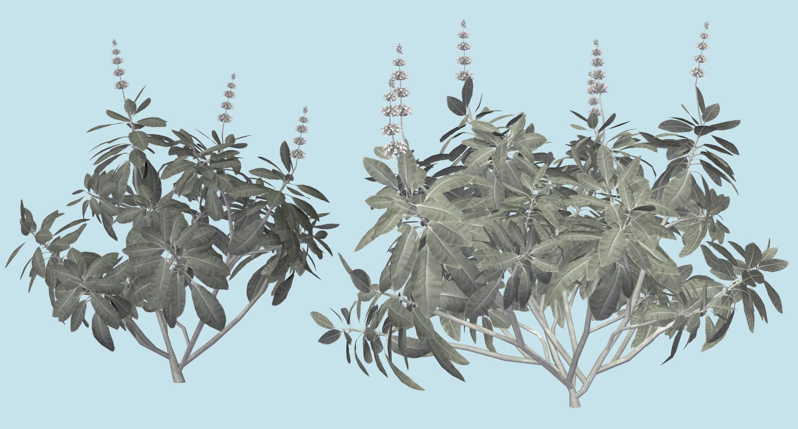 Render 3.jpg