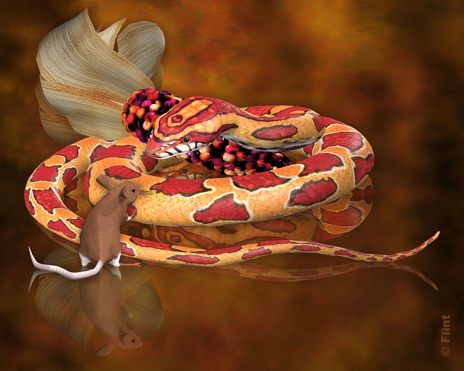 Scram Silly Mouse.jpg