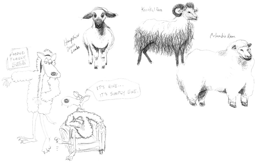 sheep-sketches3.jpg
