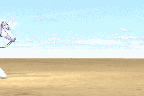 SHETLAND PONY with SADDLE - animation2 - 2018.gif