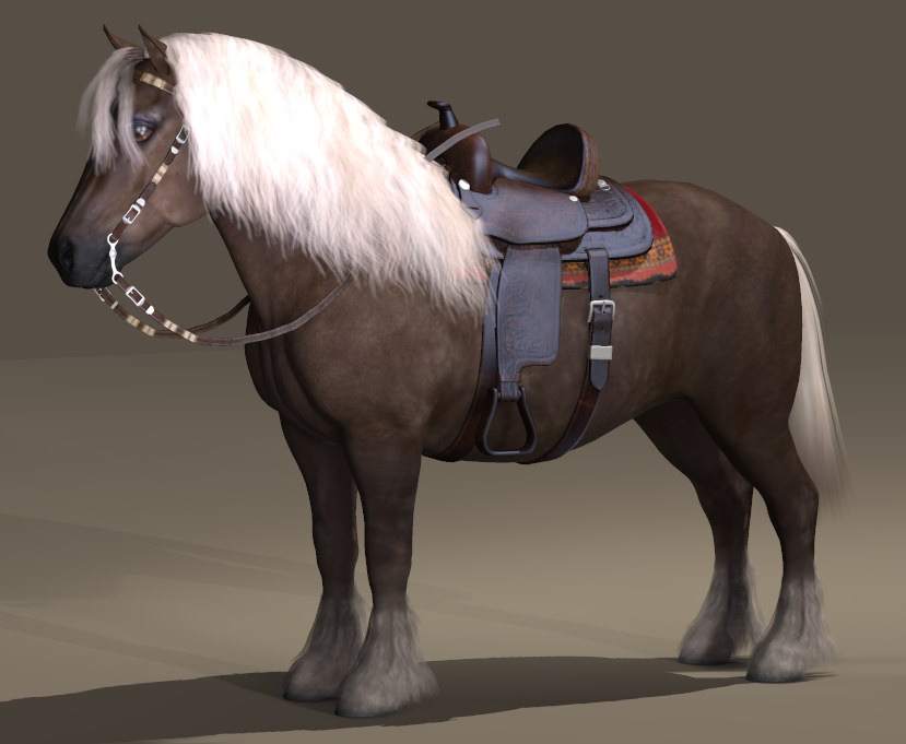 SHETLAND PONY with SADDLE.jpg