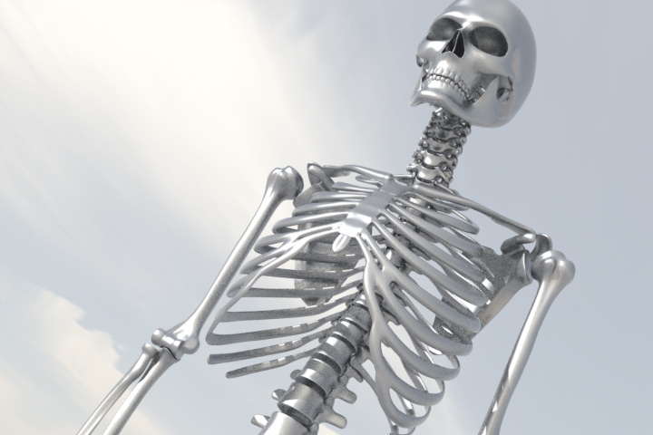 Skeleton6.jpg