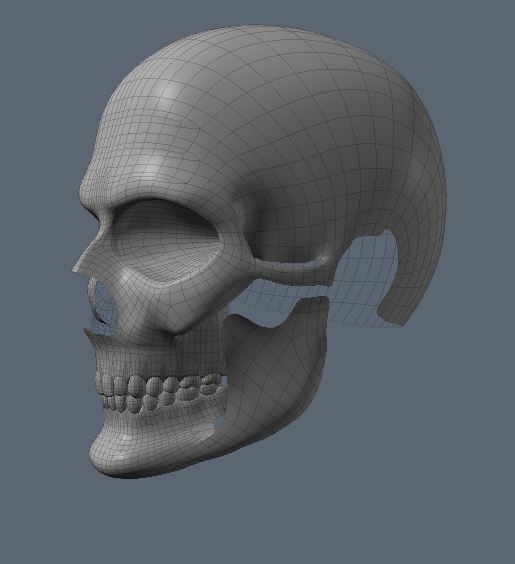 Skull2.JPG