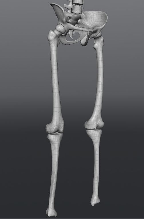 Skull202.JPG