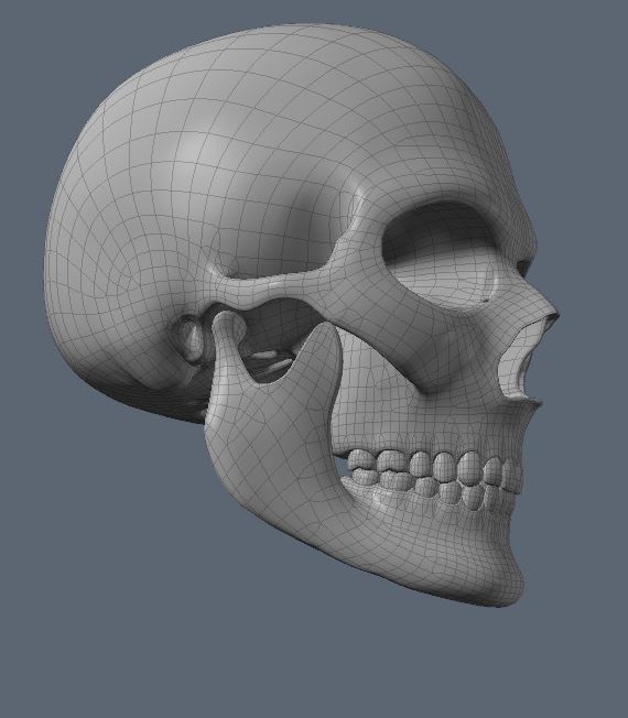 Skull38.JPG