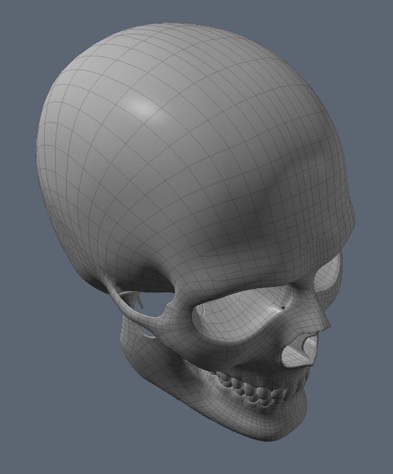 Skull40.JPG