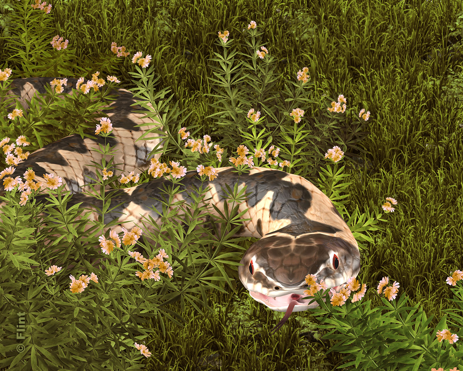 Snake In  the Grass.jpg